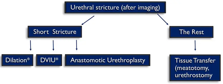 urethral-stricture-after-diagnosis-surgical-proceedure-decision-tree